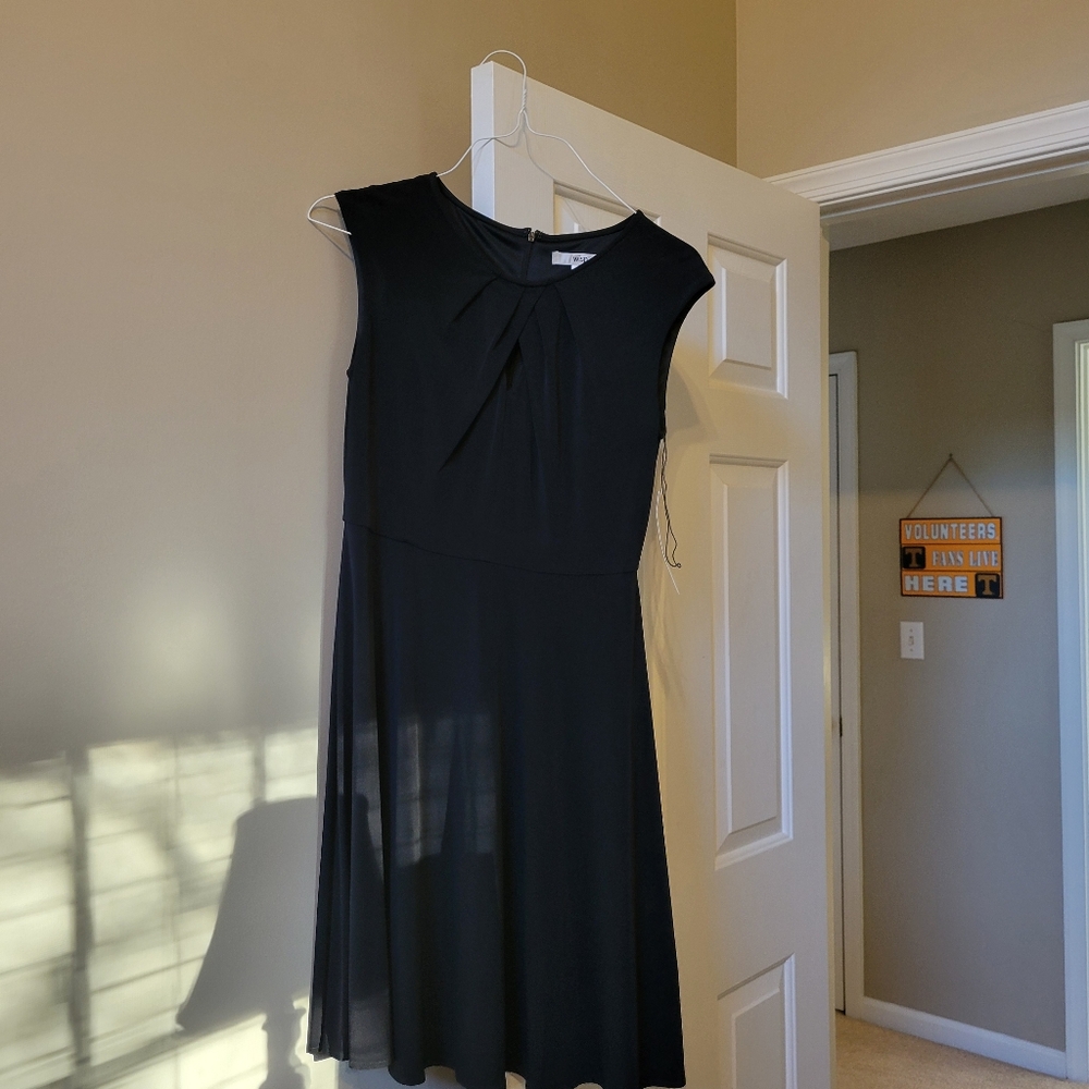 Elegant Black Sleeveless Dress